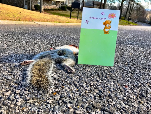 Get Well Soon Squirrel 1