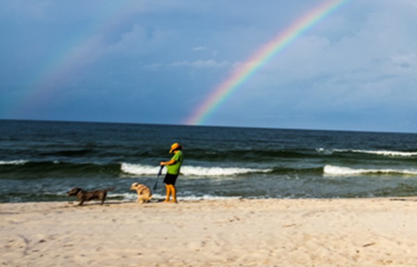 170818-Rainbow-in-Cape-San-Blas-Pooping-Dog_MG_2895 s