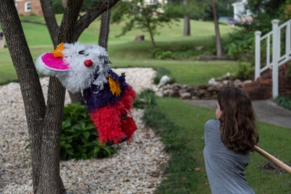 Pinata at Small Group Pinata at Simpsons Small Group _MG_1237s