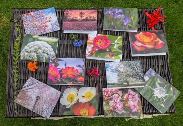 Floral-Note-Cards