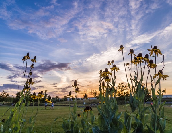 2018 Calendar April170602 Sunset at Railroad Park _MG_9334 s[16]