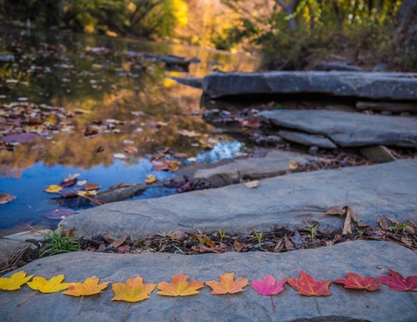 2018 Calendar October161114c-Playing-by-the-River[15]