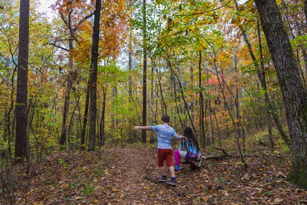 171107 Hiking at Oak Mountain in the Fall IMG_8969S