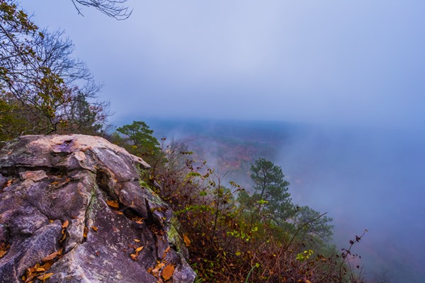 171109 King's Chair in the Fog IMG_9463S