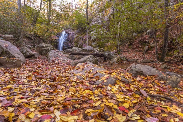 171109 Peavine Falls in the Fall IMG_9779S