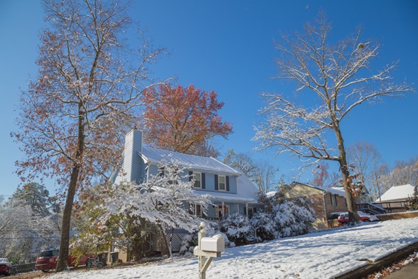 171209 Fall Interrupted Snow Storm IMG_7016 s