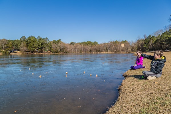 180104 Walk on Water and Icy Day IMG_9651