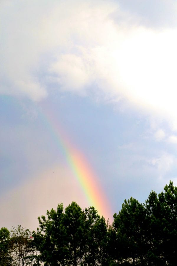 180725 rainbow at red mountain park IMG_4654 s