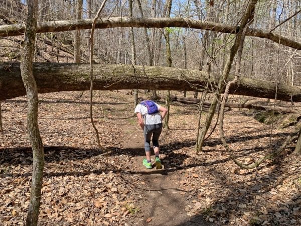 2019 Lake Martin Team under-the-log-IMG_6327 s