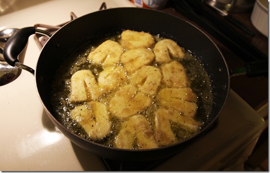 Saganaki: The Journey and The Recipe. | Grasping for Objectivity