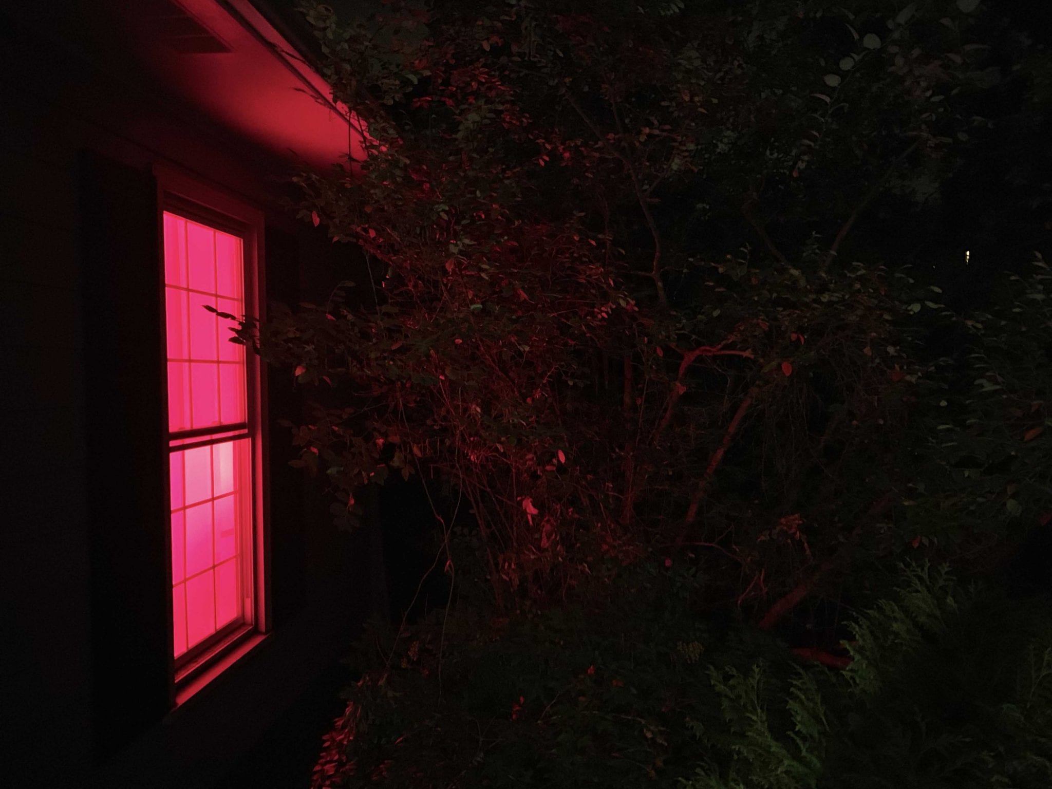 Red Light Window