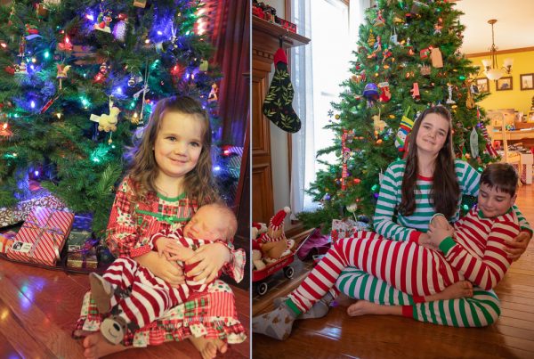 Buddy The Snake 2019 christmas photos remake small